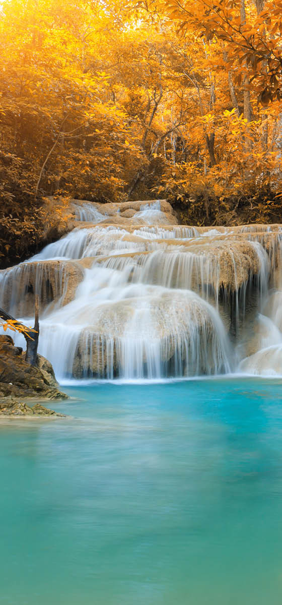Immagine di una cascata in mezzo al bosco.